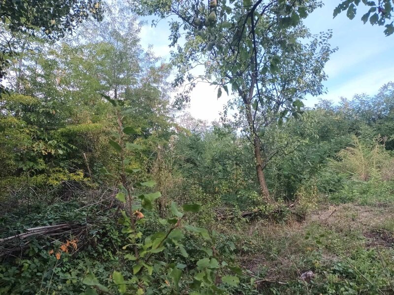 Satul Malu Mierii, comuna Glodeni, judetul Dambovita